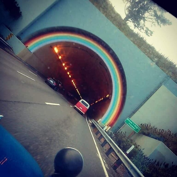 Meet the Posher Brando xoxo - Picture 6 of 8